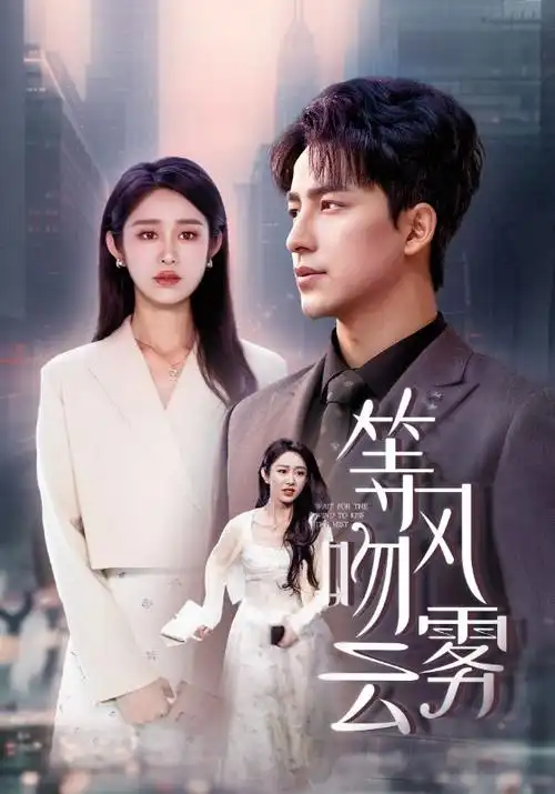 审计师 奇优影院手机版职场剧
